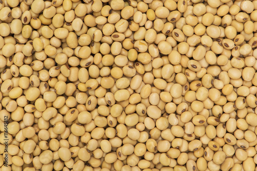 Soybean background  Soya Seed background and textured