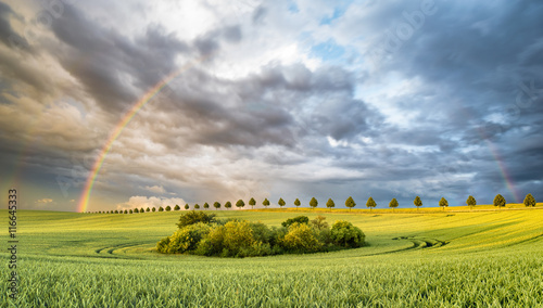 Tęcza nad polem po przejściu burzy © Mike Mareen