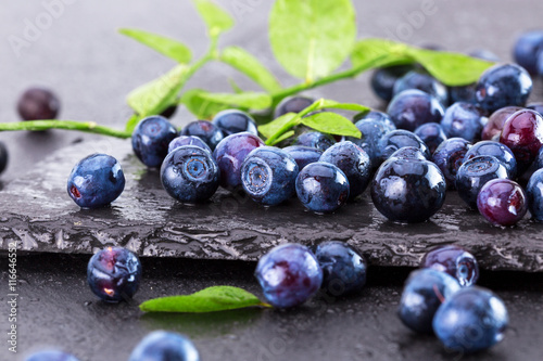blueberries on a slate table photo