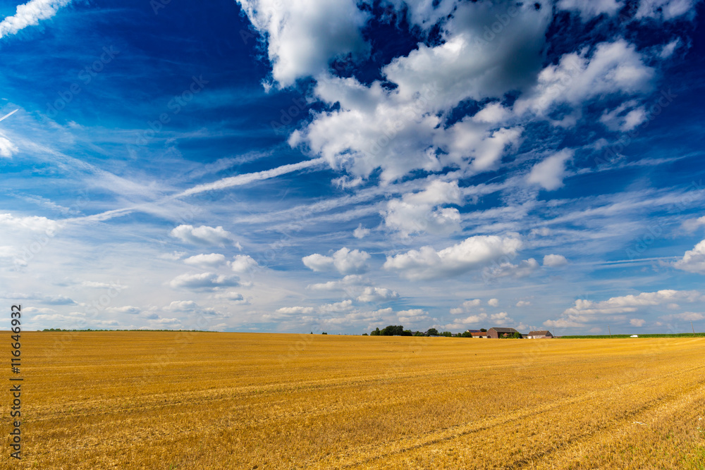 Harvested wheat fields and dramatic blue sky in July, Belgium
