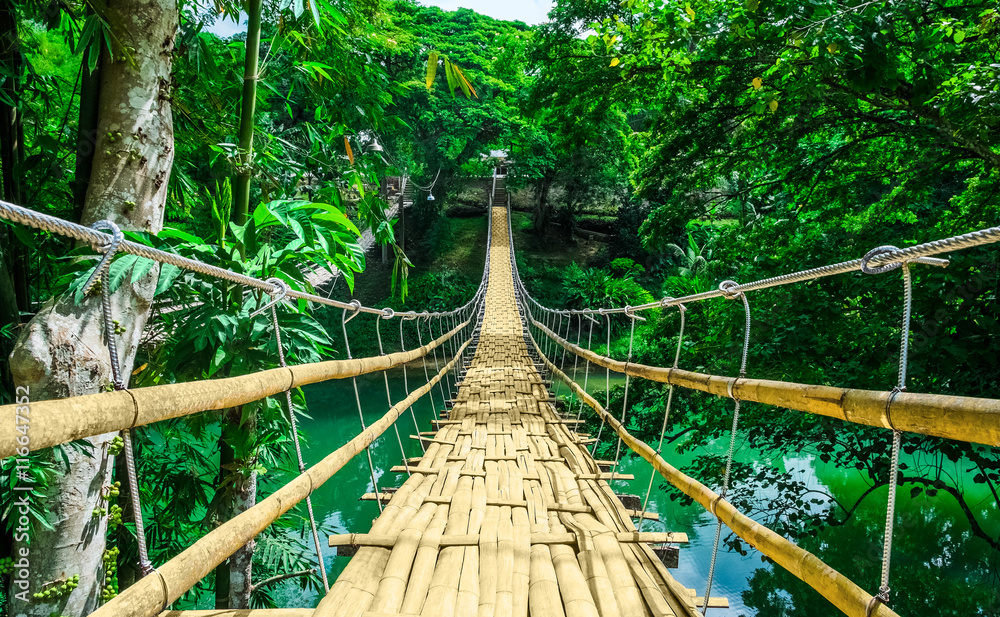 Fototapeta premium Bambusowy wiszący most nad rzeką w tropikalnym lesie