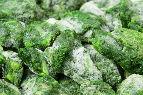 Frozen Spinach. Defrosting. Cooking Process. Preparation Stage.