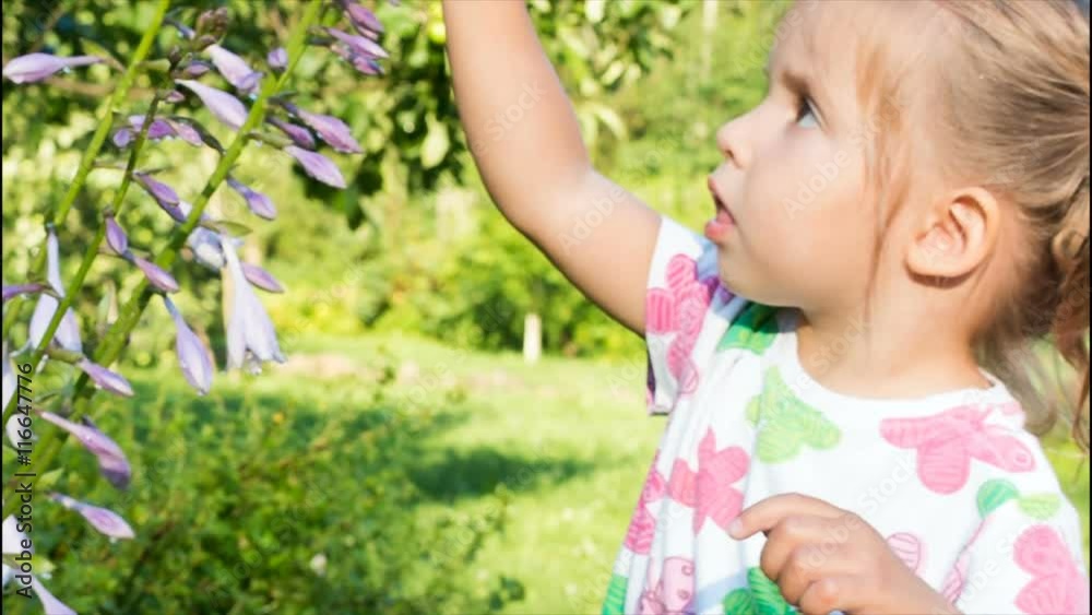 girl playing with a flower and looking at the camera. large eyes of a child girl playing with a flower and looking at the camera. large eyes of a child