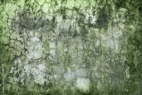 Concrete wall green with time and moisture