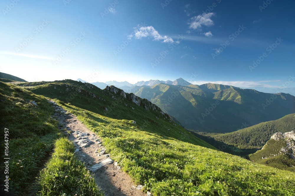 Peaks in Carpathian Mountains on the Slovak-Polish border