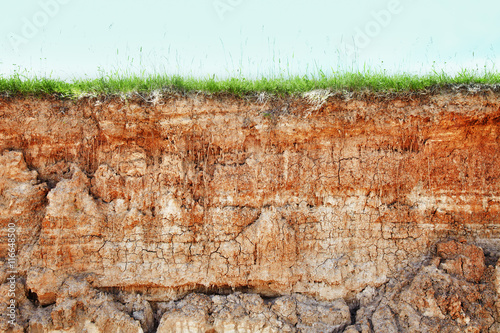 Cliff - clay soil and grass