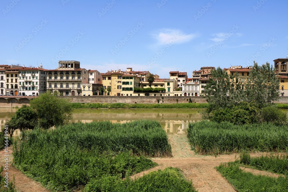 Green shore of River Arno in Florence, Tuscany Italy