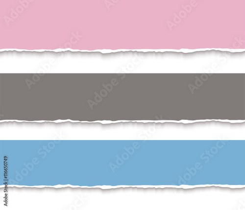 Torn paper blank banners. Design template for infographics, website layout. Vector realistic illustration. Vector torn paper with teared edges