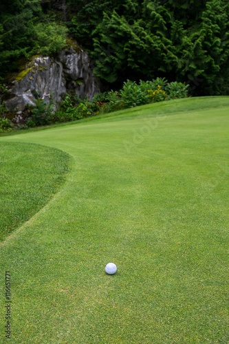Golf ball on a green next to the fringe, with scenic background 