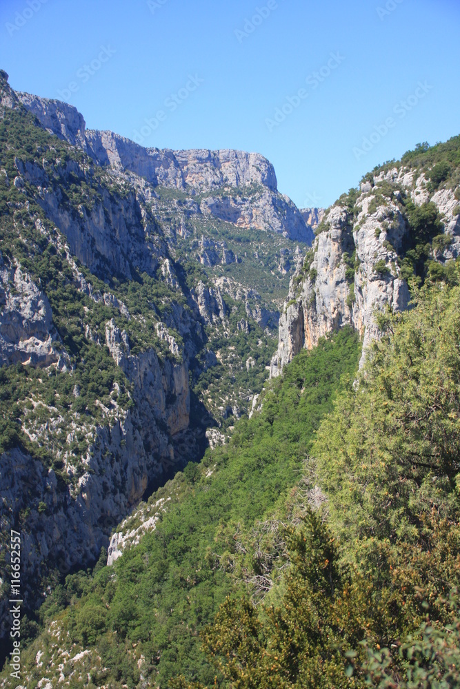 canyon des gorges du Verdon