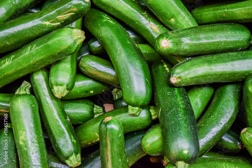 Fresh cropped green Zucchini