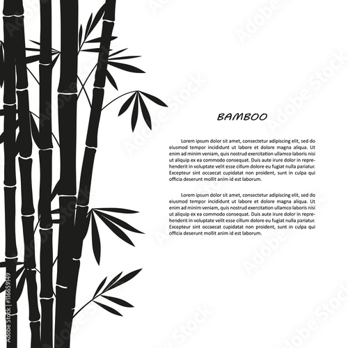 Fototapeta Naklejka Na Ścianę i Meble -  Black bamboo silhouette on a white background