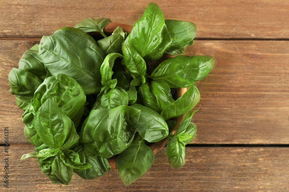 Fresh bunch of basil on wooden table Fresh bunch of basil on wooden table