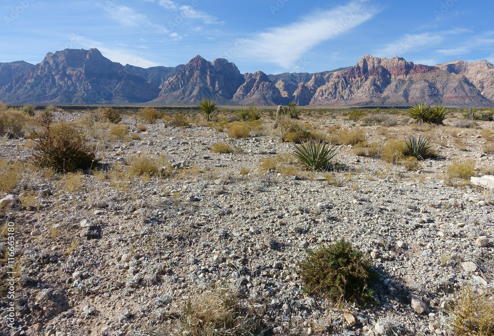 Fototapeta premium Landscapes of Red Rock Canyon State Park, Nevada, USA