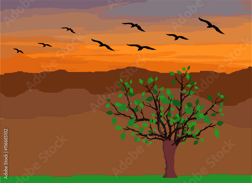 Pássaros voando sobre montanhas em um fim de tarde.
