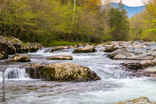 Mountain river.