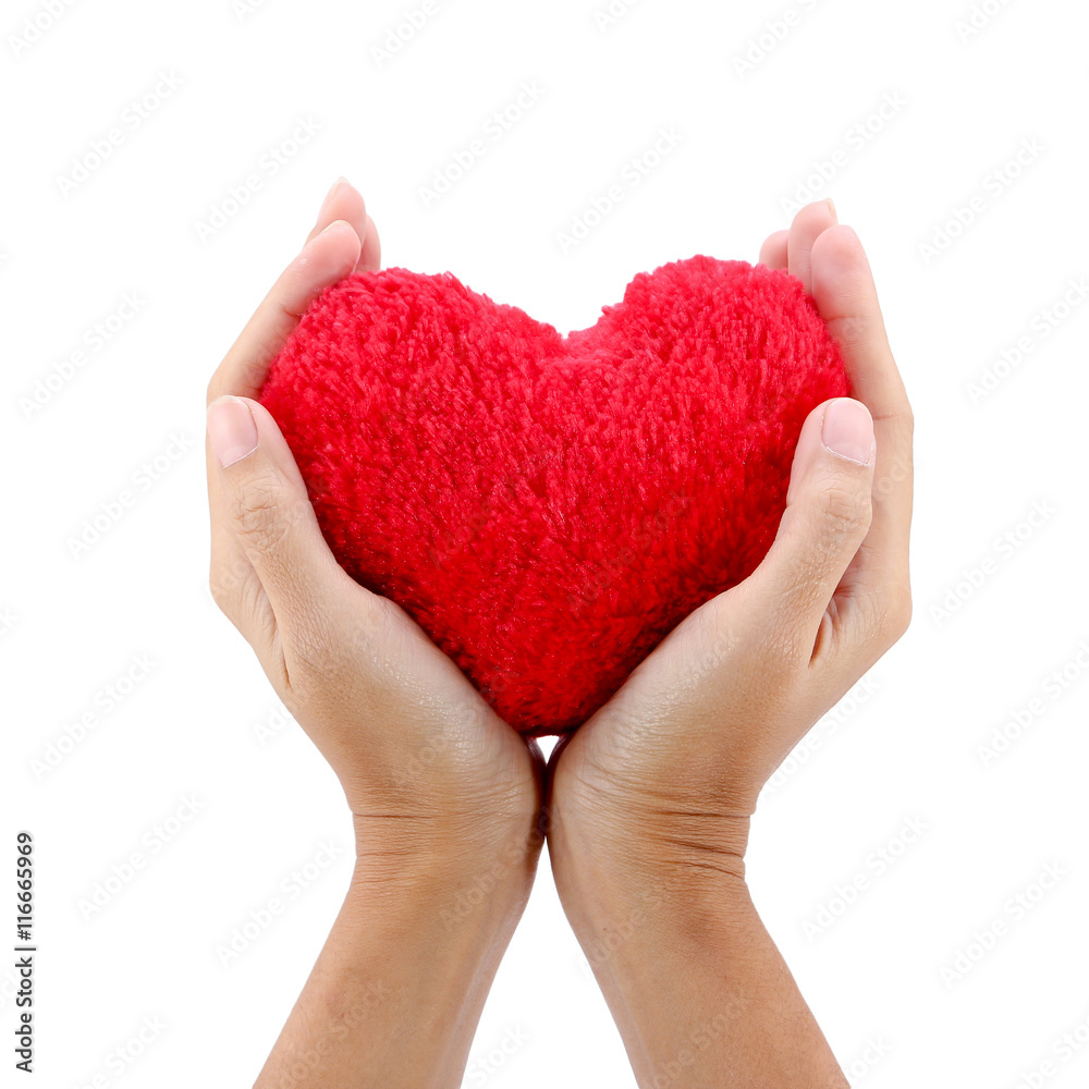 Obraz premium hands hold a red heart on white background