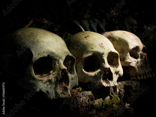 Human skulls and femurs are left to decompose naturally in an open-air cemetery in Trunyan village, Kintamani, Bali, Indonesia.