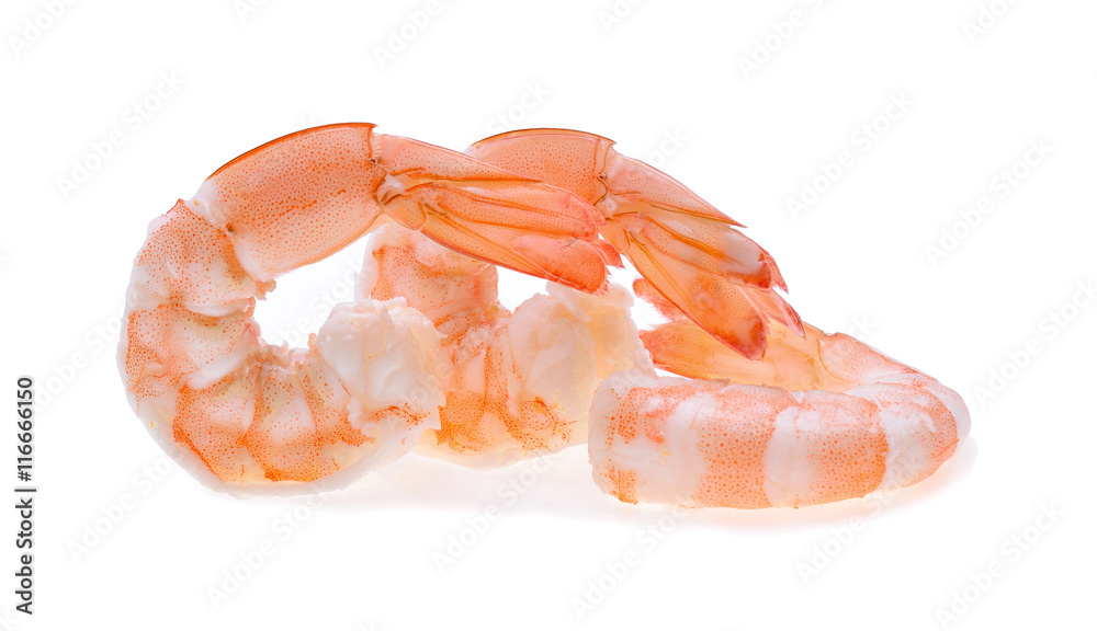 shrimp isolated on a white background