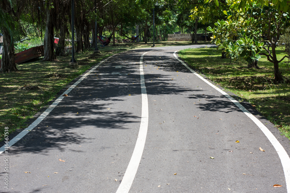 Obraz premium bicycle path