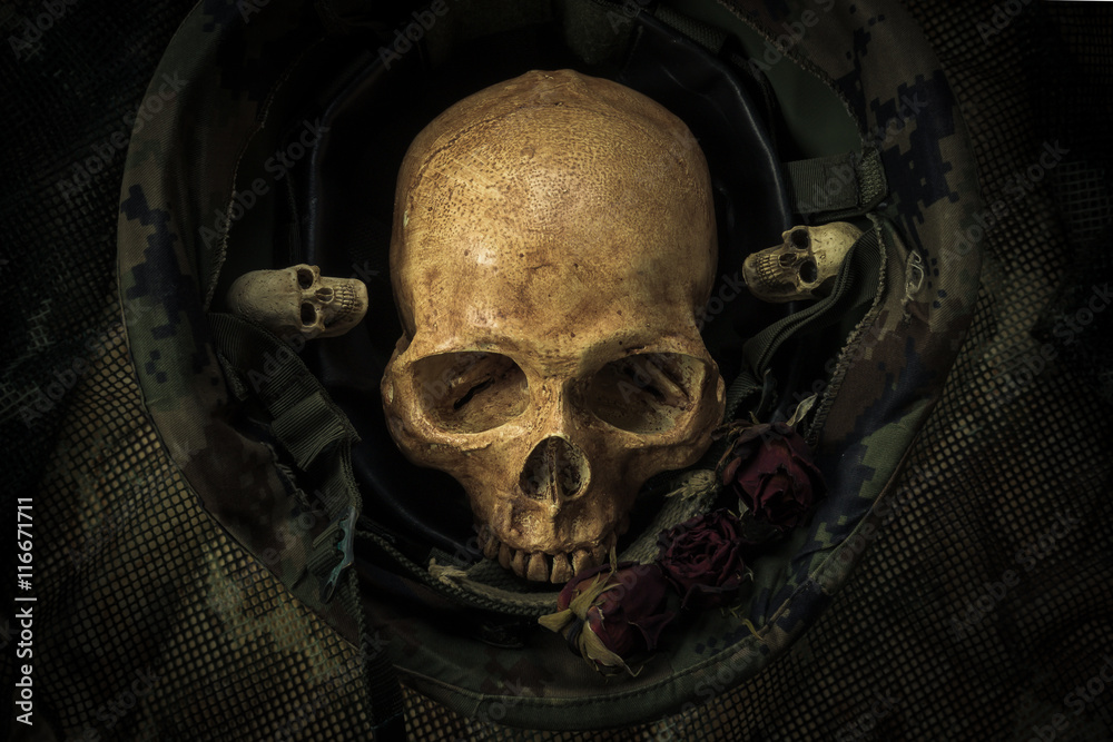 Still life soldier skull Still life soldier skull