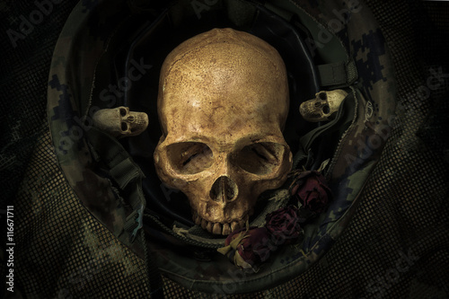 Still life soldier skull