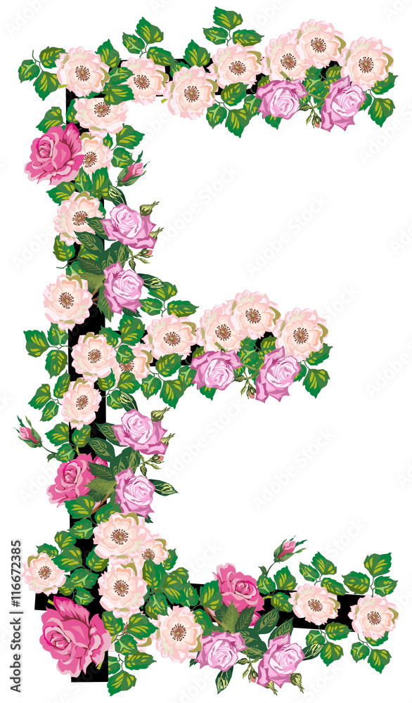 letter E from rose and brier flowers isolated on white letter E from rose and brier flowers isolated on white