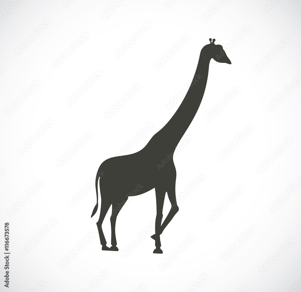 The detailed silhouette of the giraffe. Graphical icon.
The detailed silhouette of the giraffe. Graphical icon.