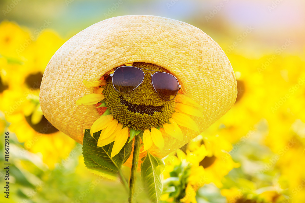 Naklejka premium funny sunflower in glasses and a hat, smiling