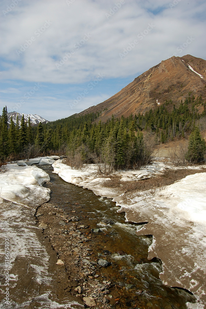 Water creek in Denali National Park, Alaska 