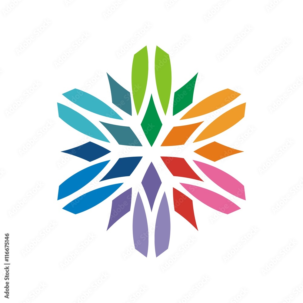 Logo abstract star symbol vector
