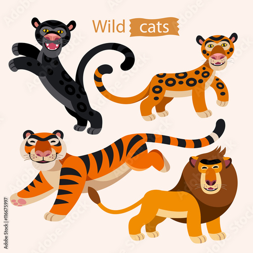 Vector set of wild cats. cartoon animals on a white background. Childish  illustration of lion, tiger, panther and jaguar. Stock Vector | Adobe Stock