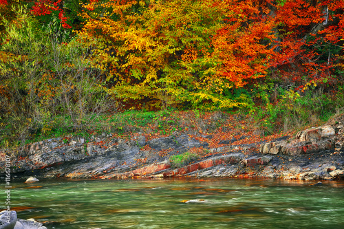 mountain river in autumn time