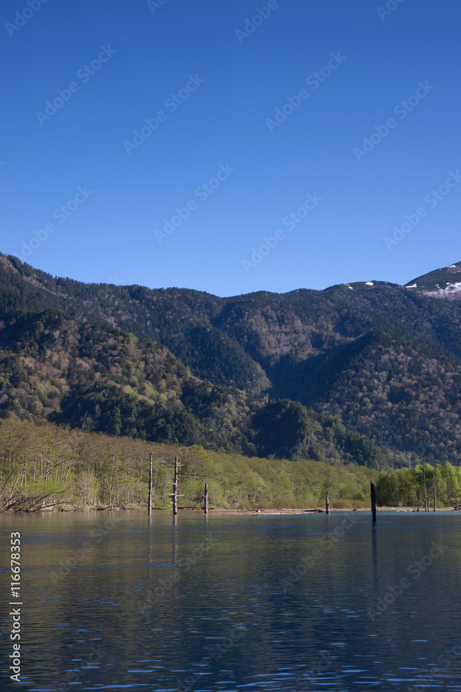 Obraz premium 上高地、大正池