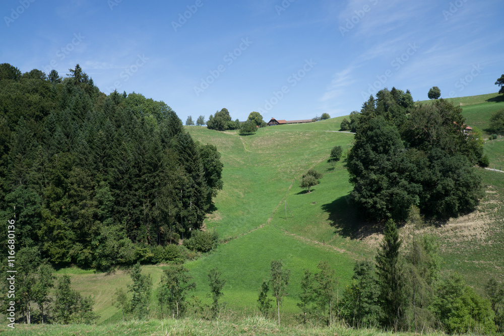 Lovely view over the beautiful greenery at the countryside in Sw