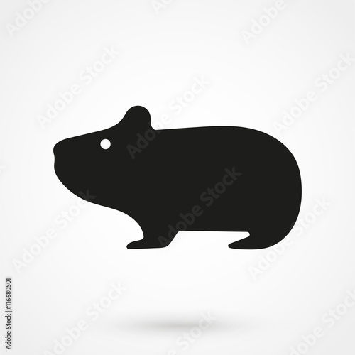 hamster icon