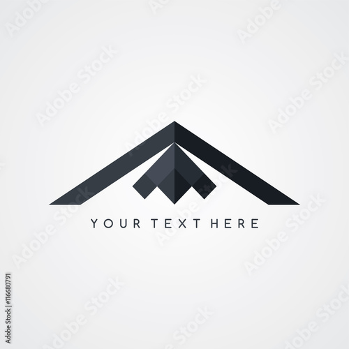 stealth logo aircraft airplane logotype