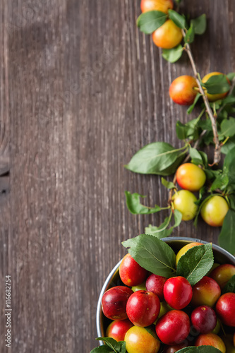 Ripe plums in an aluminum mug. Dark wood background