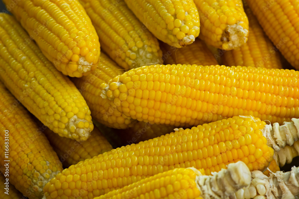 Boiled corn cobs in the Eastern market Boiled corn cobs in the Eastern market