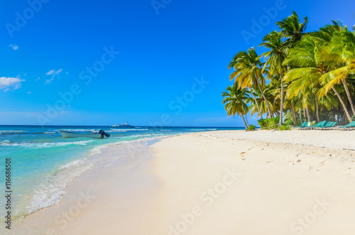 Fototapeta Naklejka Na Ścianę i Meble -  Untouched tropical beach in Sri Lanka