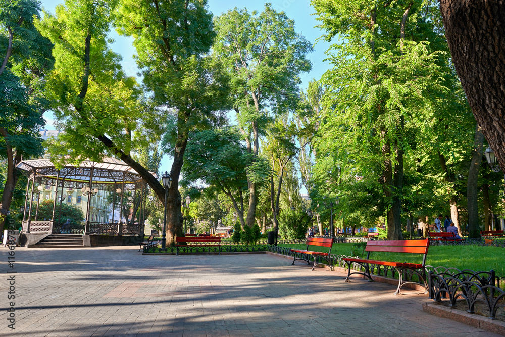 city park at center town, summer season, bright sunlight and shadows, beautiful landscape, home and people on street