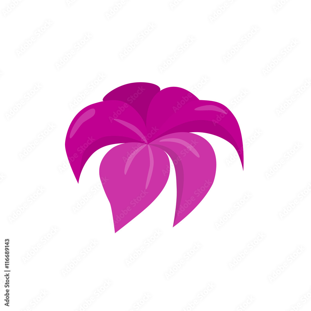 pink blossom flower beautiful vector illustration