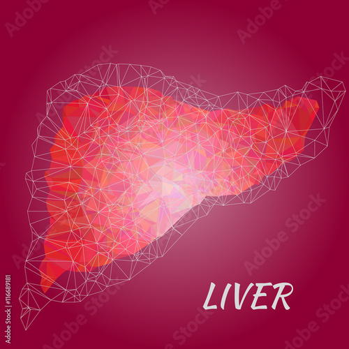 liver disease vector illustration