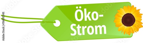 Ökostrom