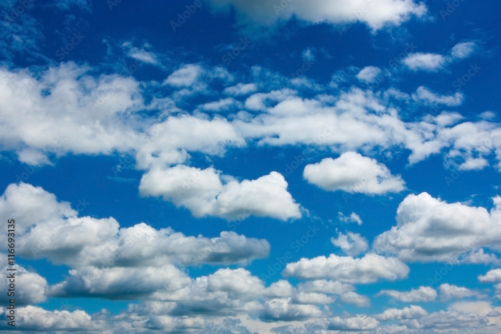 Cumulus clouds on blue sky Cumulus clouds on blue sky