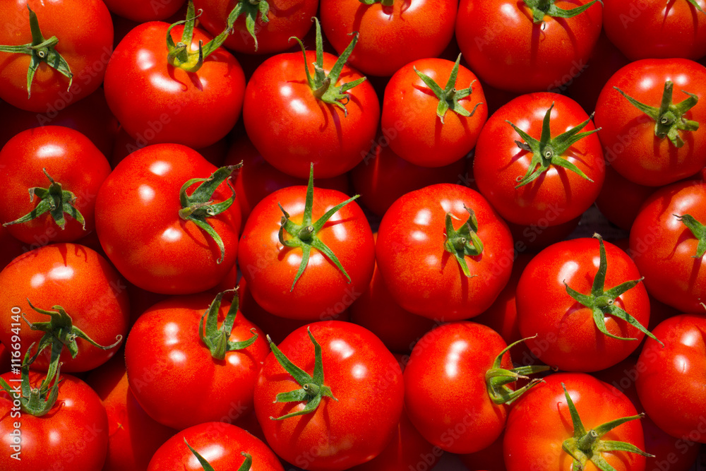 Tomatoes Tomatoes