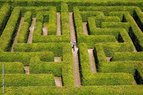 Obraz na płótnie People walking on green bushes labyrinth, hedge maze. w salonie