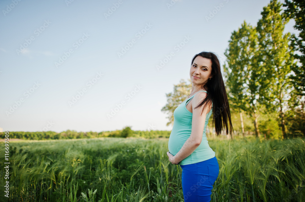 Beautiful brunette pregnant woman at wreath field Beautiful brunette pregnant woman at wreath field