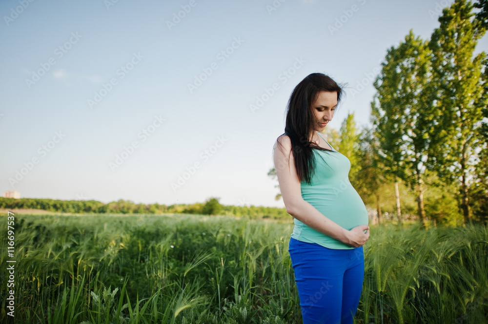 Beautiful brunette pregnant woman at wreath field Beautiful brunette pregnant woman at wreath field