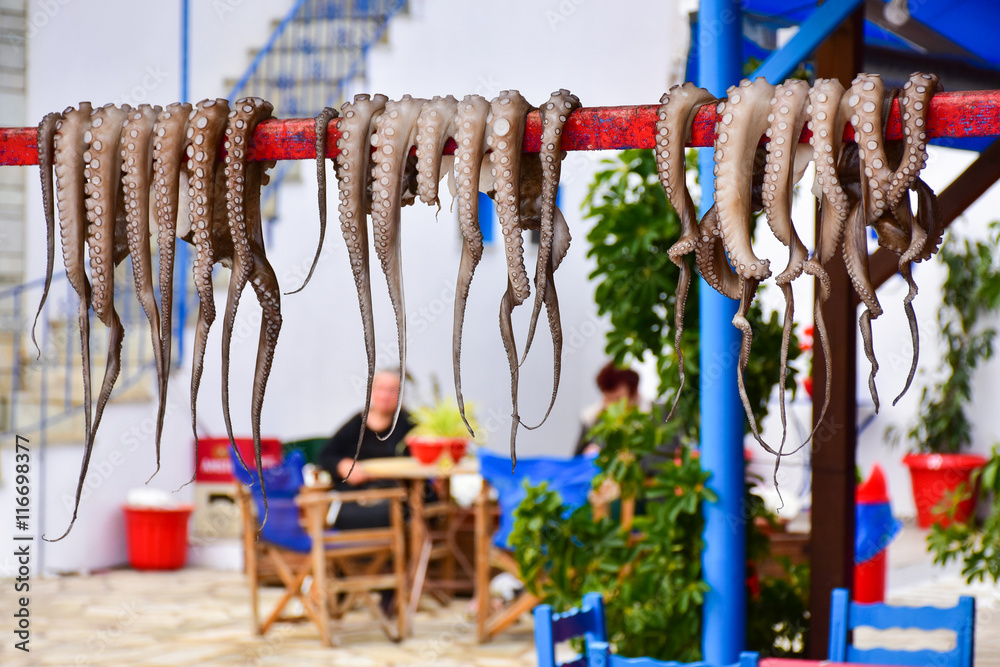 Greek taverna restaurant with calamari sea food displayed in the